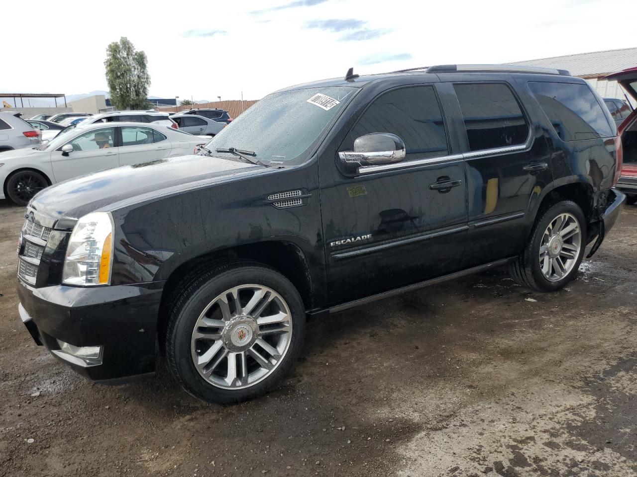 2014 Cadillac Escalade Premium VIN: 1GYS4CEF9ER223159 Lot: 77889114