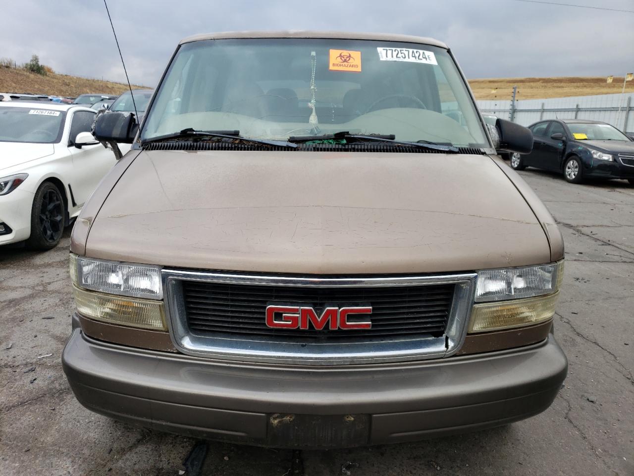 1999 GMC Safari Xt VIN: 1GKEL19W4XB506220 Lot: 77257424