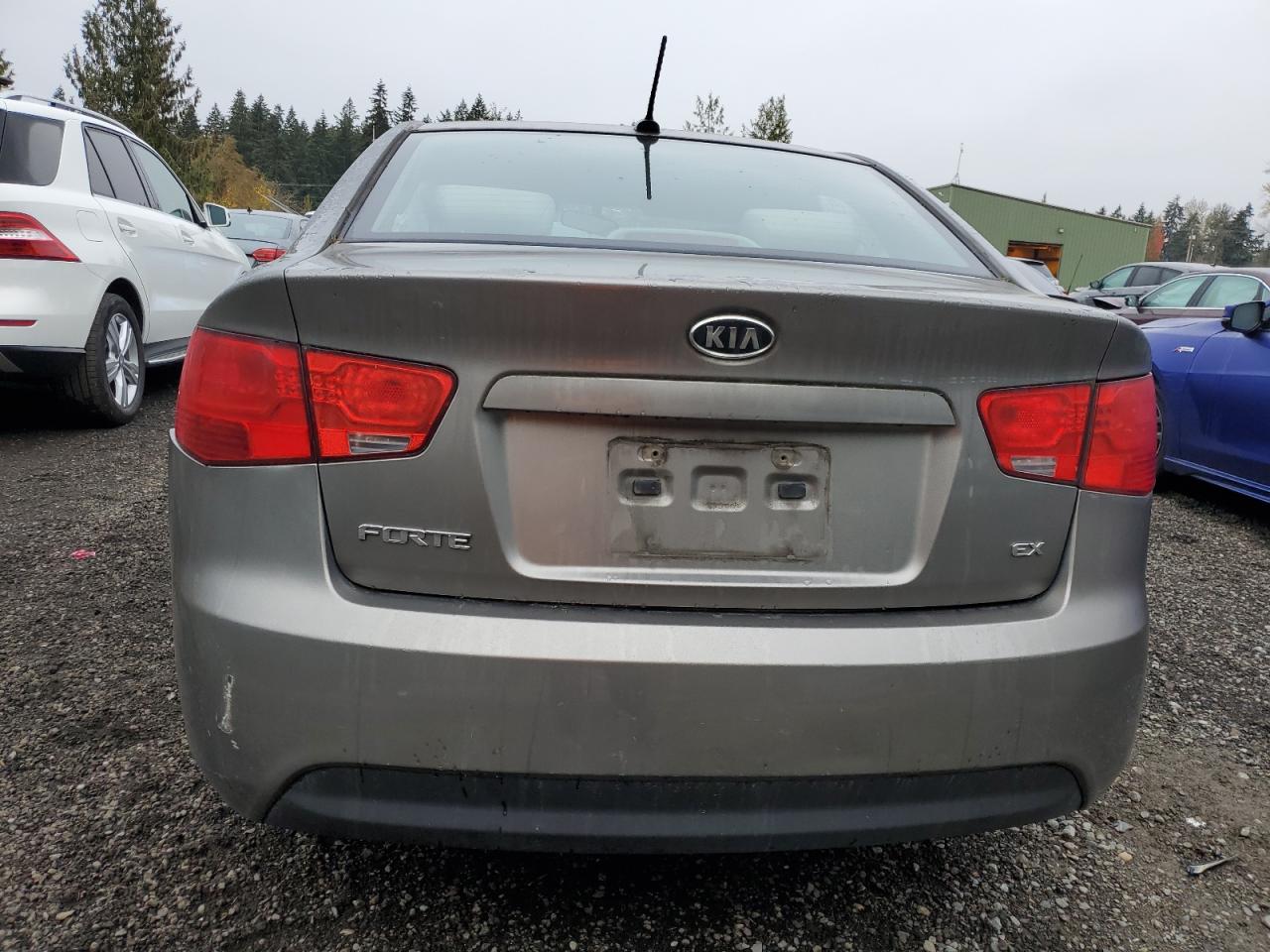 2010 Kia Forte Ex VIN: KNAFU4A28A5238850 Lot: 77491644