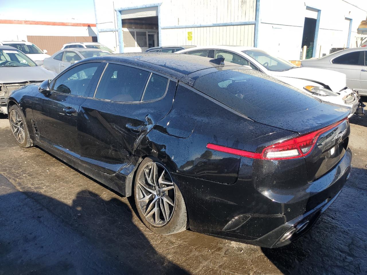 2023 Kia Stinger Gt Line VIN: KNAE35LD7P6137756 Lot: 81019404