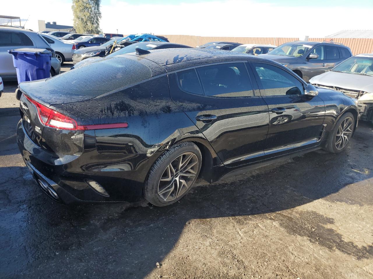 2023 Kia Stinger Gt Line VIN: KNAE35LD7P6137756 Lot: 81019404