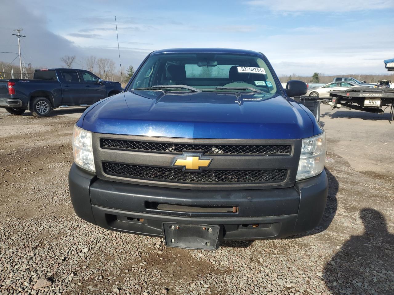 2013 Chevrolet Silverado C1500 VIN: 1GCNCPEX9DZ324738 Lot: 82750254