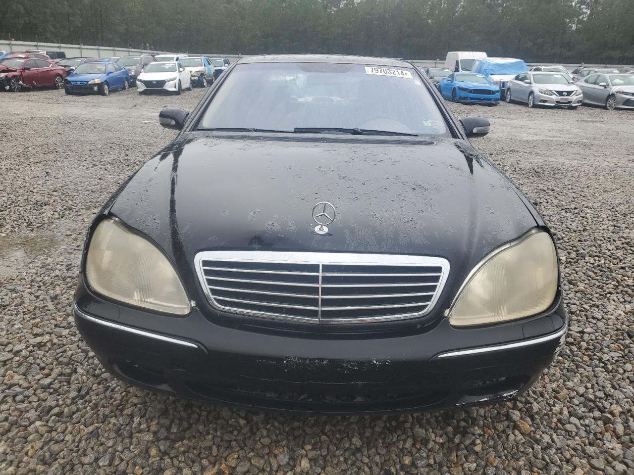 2002 Mercedes-Benz S 430 VIN: WDBNG70JX2A310929 Lot: 79703214