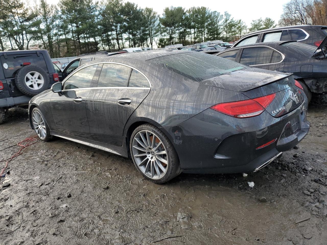 2020 Mercedes-Benz Cls 450 VIN: WDD2J5JB1LA048470 Lot: 81933214