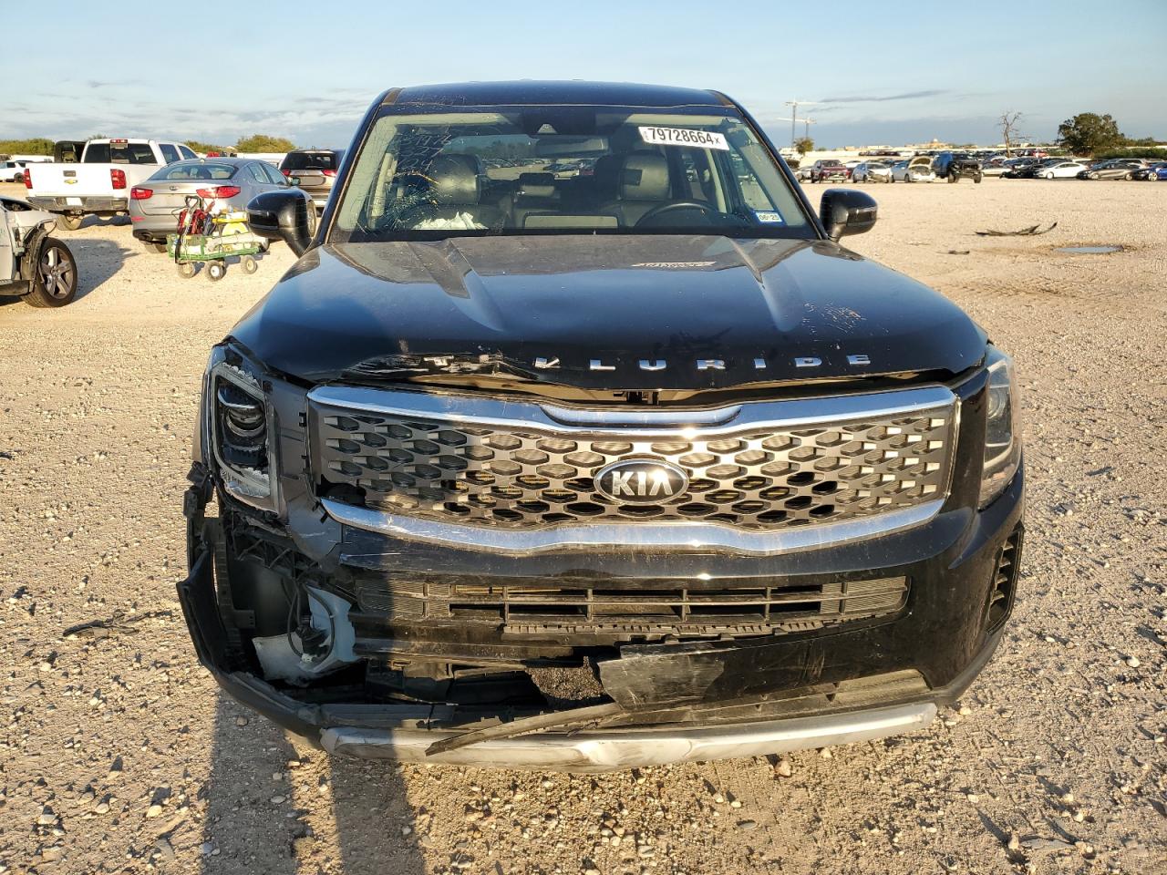 2020 Kia Telluride Lx VIN: 5XYP24HC2LG053327 Lot: 79728664