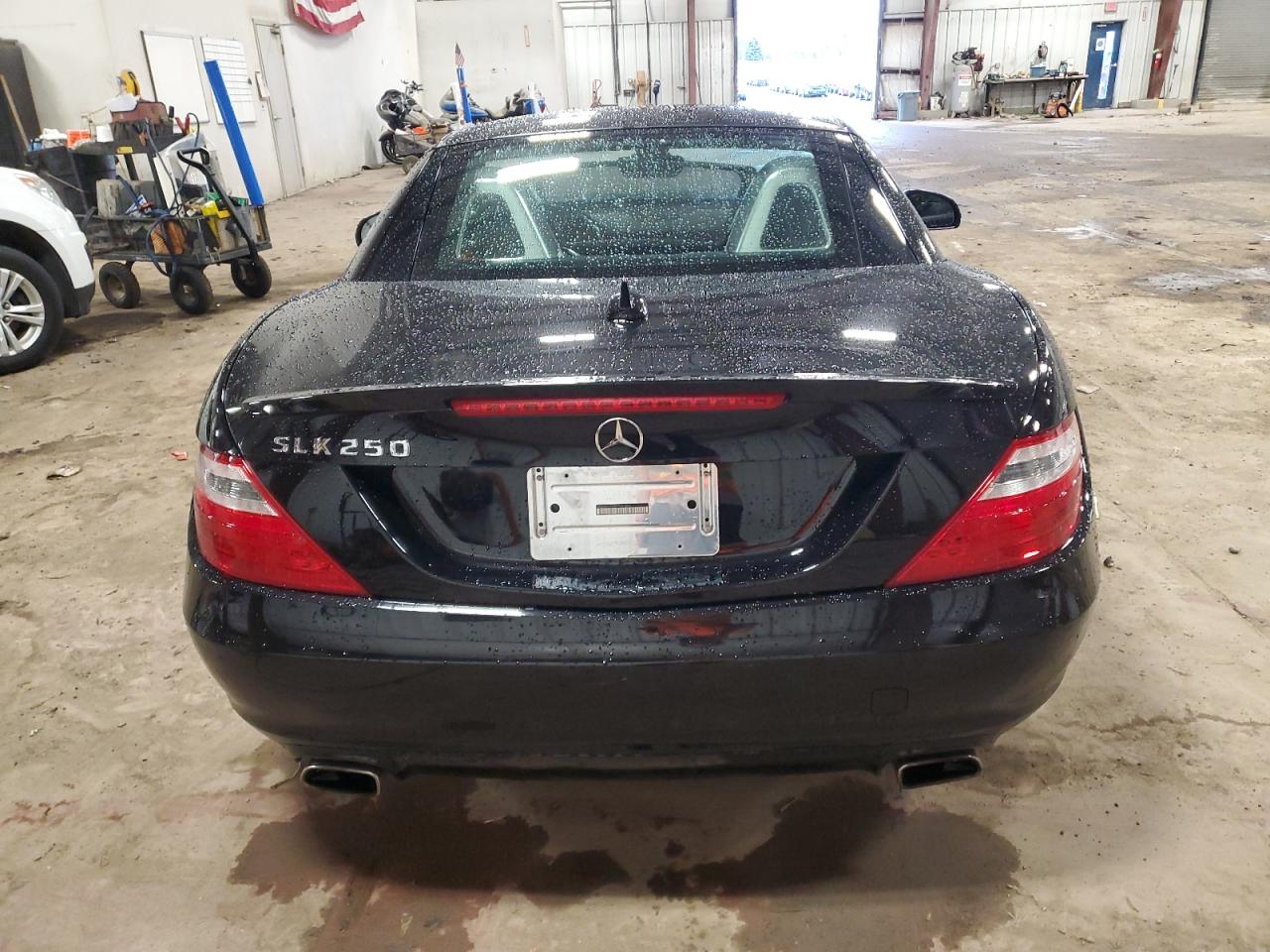 2013 Mercedes-Benz Slk 250 VIN: WDDPK4HA8DF061442 Lot: 78720154