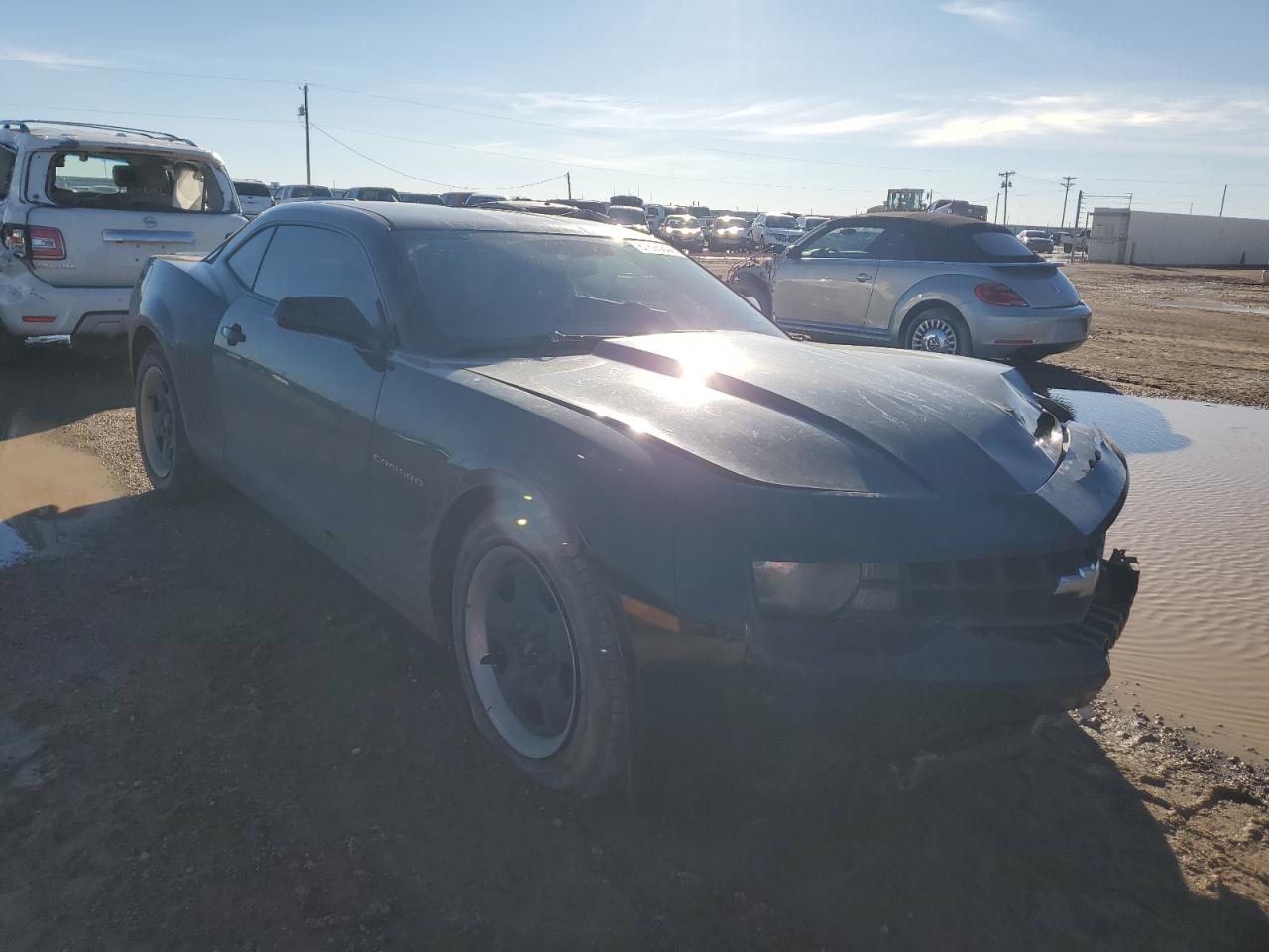 2013 Chevrolet Camaro Ls VIN: 2G1FA1E37D9137876 Lot: 81695844