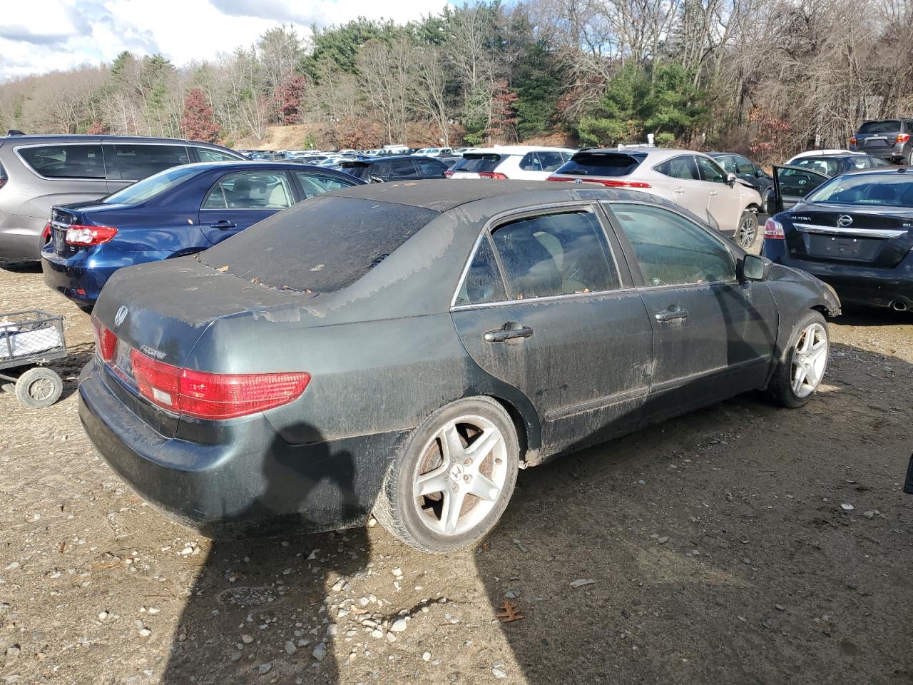 2005 Honda Accord Lx VIN: 1HGCM564X5A086574 Lot: 81942384