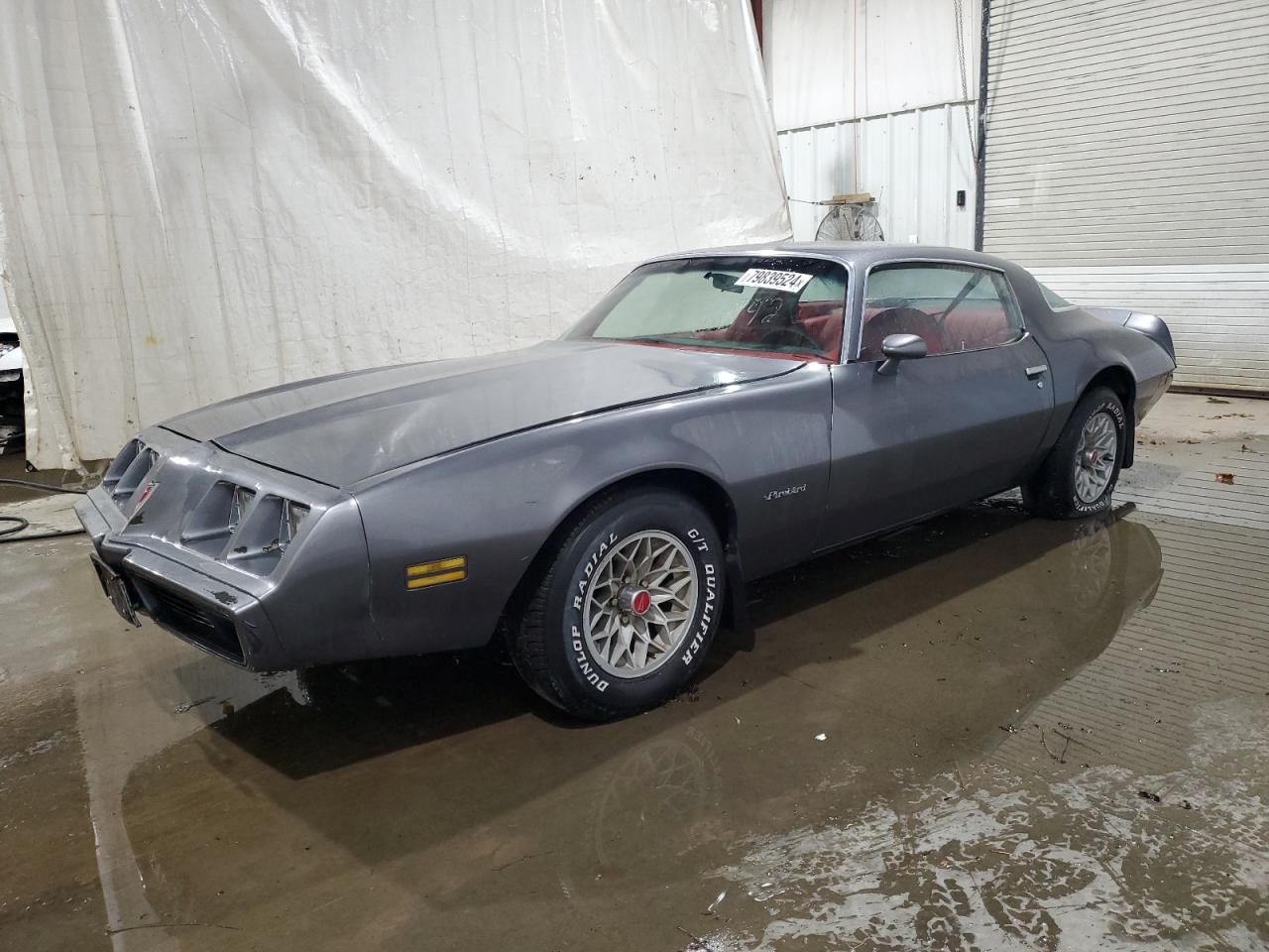 1981 Pontiac Firebird VIN: 1G2AS87A4BN117926 Lot: 79839524