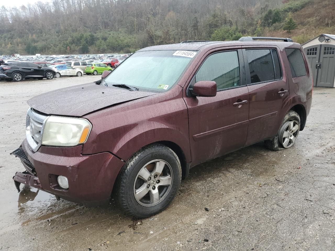 2011 Honda Pilot Exl VIN: 5FNYF4H5XBB051440 Lot: 81164584