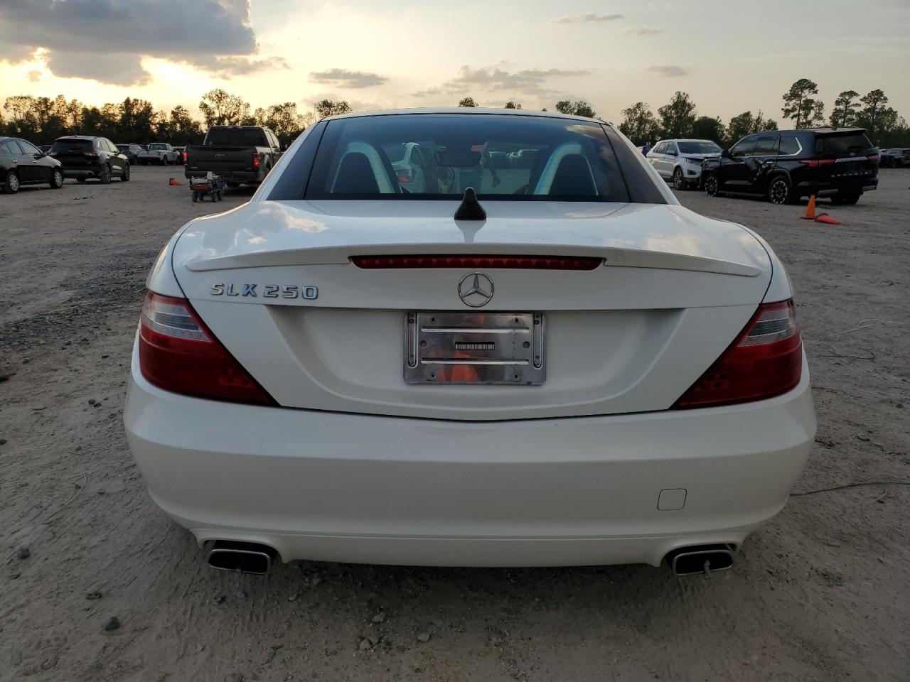 2013 Mercedes-Benz Slk 250 VIN: WDDPK4HA4DF064757 Lot: 79703984