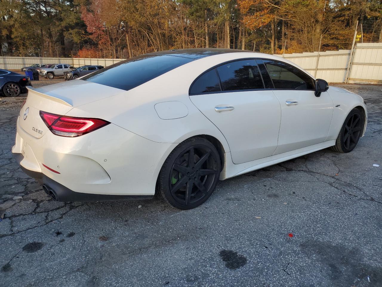 2019 Mercedes-Benz Cls Amg 53 4Matic VIN: WDD2J6BB3KA042804 Lot: 82309074