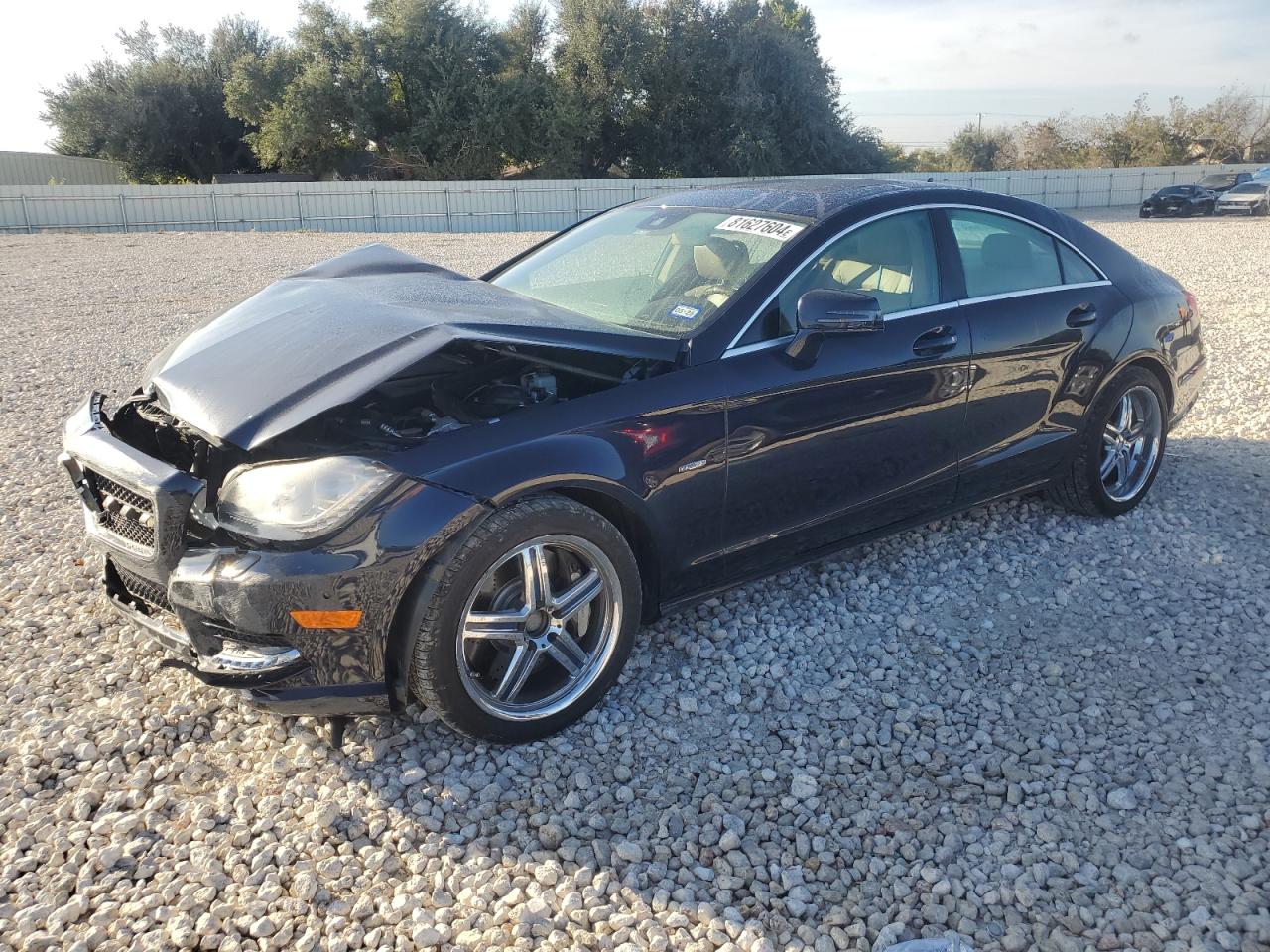 2012 Mercedes-Benz Cls 550 VIN: WDDLJ7DB4CA025759 Lot: 81627604