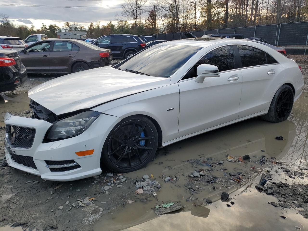 2012 Mercedes-Benz Cls 550 4Matic VIN: WDDLJ9BB7CA028119 Lot: 81309704