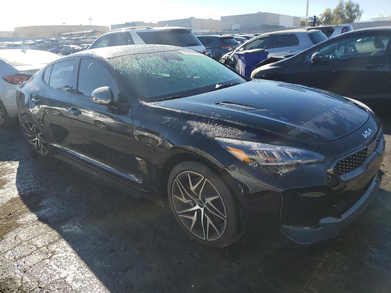 2023 Kia Stinger Gt Line VIN: KNAE35LD7P6137756 Lot: 81019404