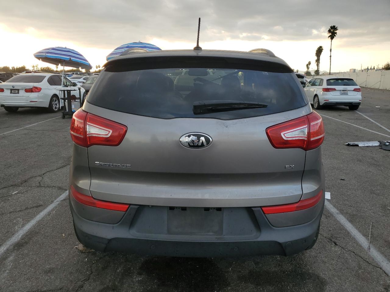 2013 Kia Sportage Ex VIN: KNDPC3A25D7495297 Lot: 81201044