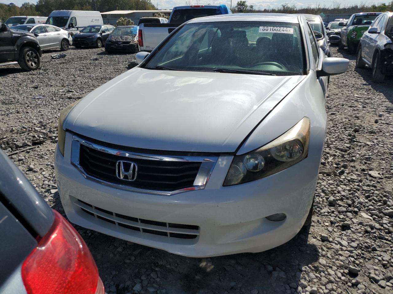 2009 Honda Accord Exl VIN: 1HGCP36889A027267 Lot: 80160244