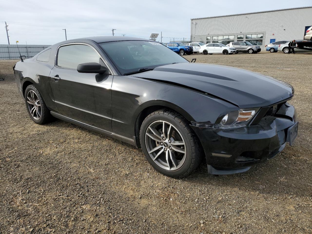 1ZVBP8AN3A5181335 2010 Ford Mustang