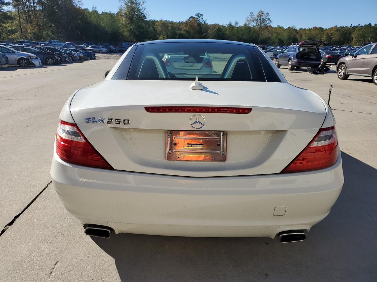 2013 Mercedes-Benz Slk 250 VIN: WDDPK4HA1DF067941 Lot: 81934424