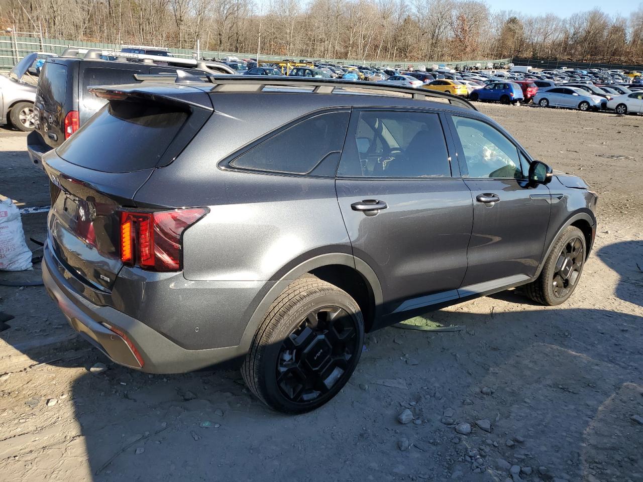 2024 Kia Sorento Sx VIN: 5XYRKDJF9RG255295 Lot: 80952344