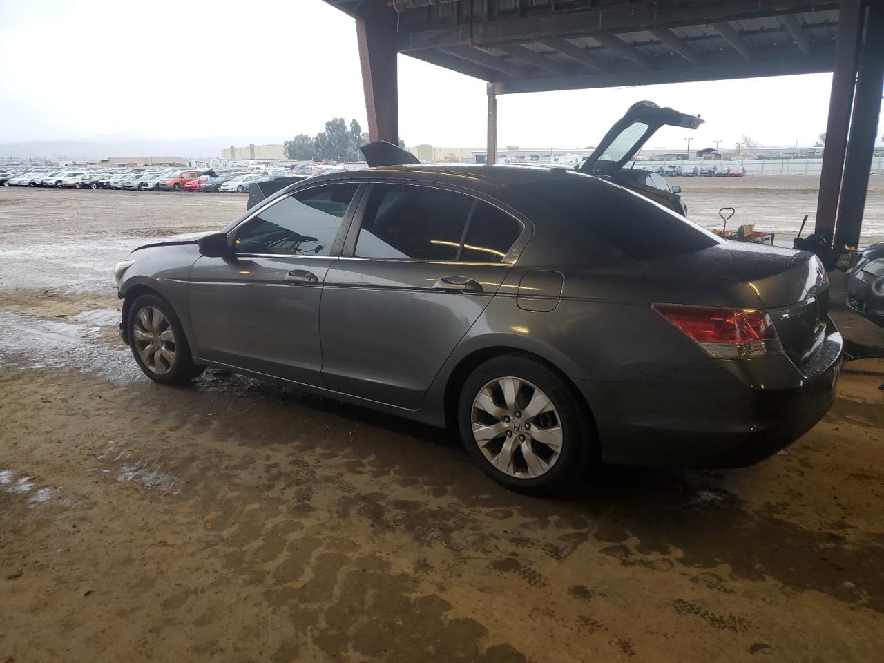 2009 Honda Accord Exl VIN: 1HGCP26829A138620 Lot: 82252644