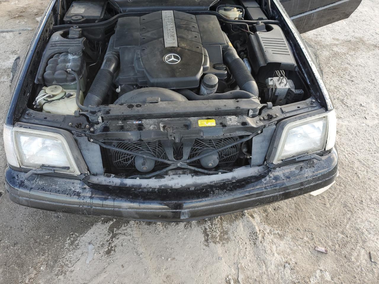 WDBFA68F0XF186163 1999 Mercedes-Benz Sl 500