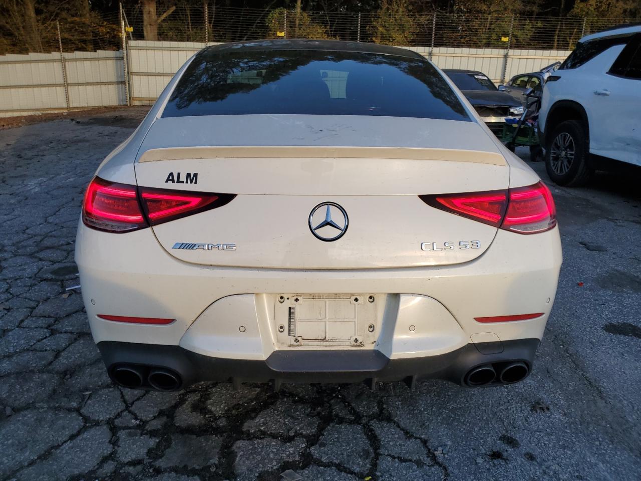 2019 Mercedes-Benz Cls Amg 53 4Matic VIN: WDD2J6BB3KA042804 Lot: 82309074