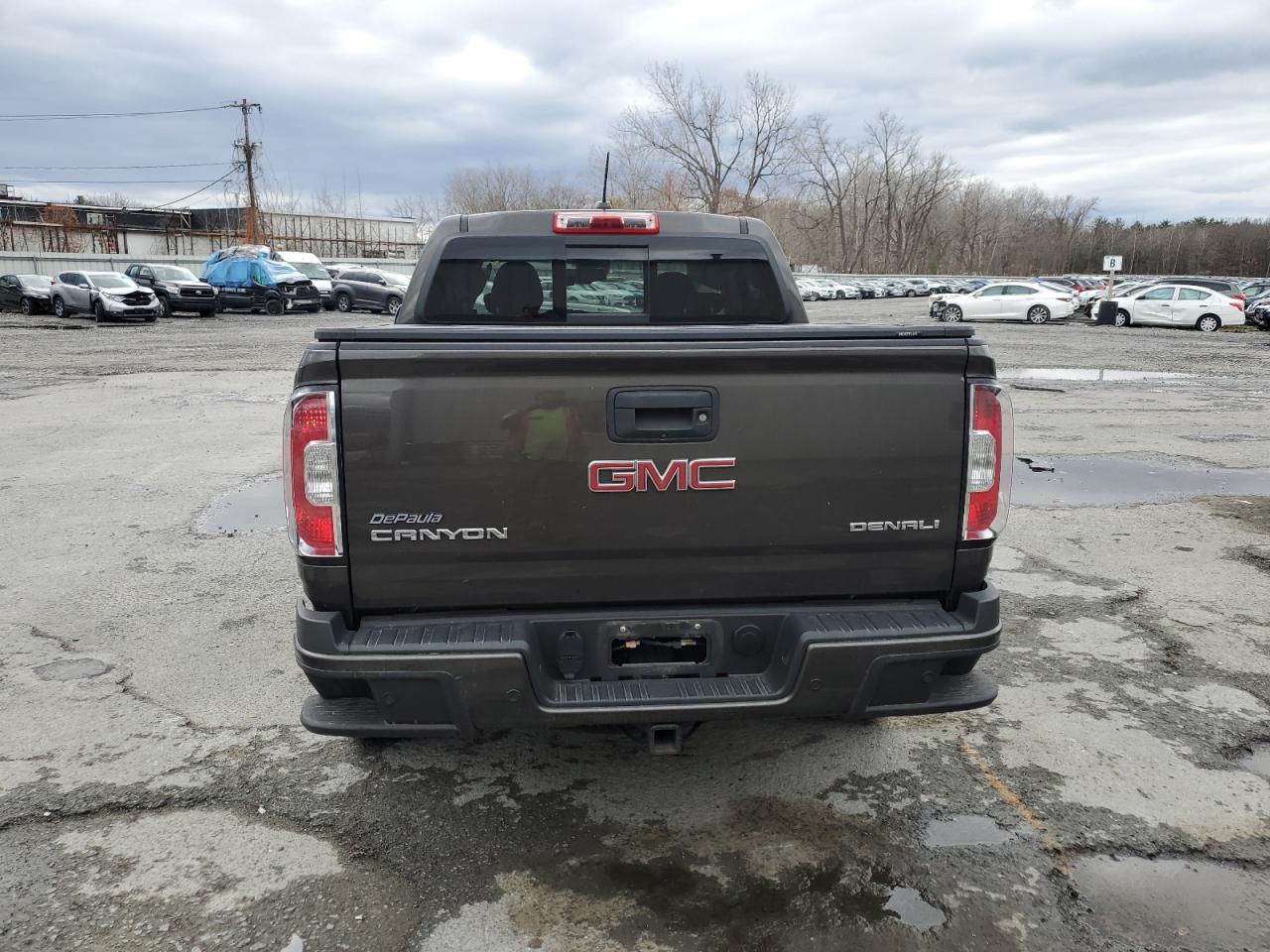 2020 GMC Canyon Denali VIN: 1GTG6EEN1L1134173 Lot: 80079364