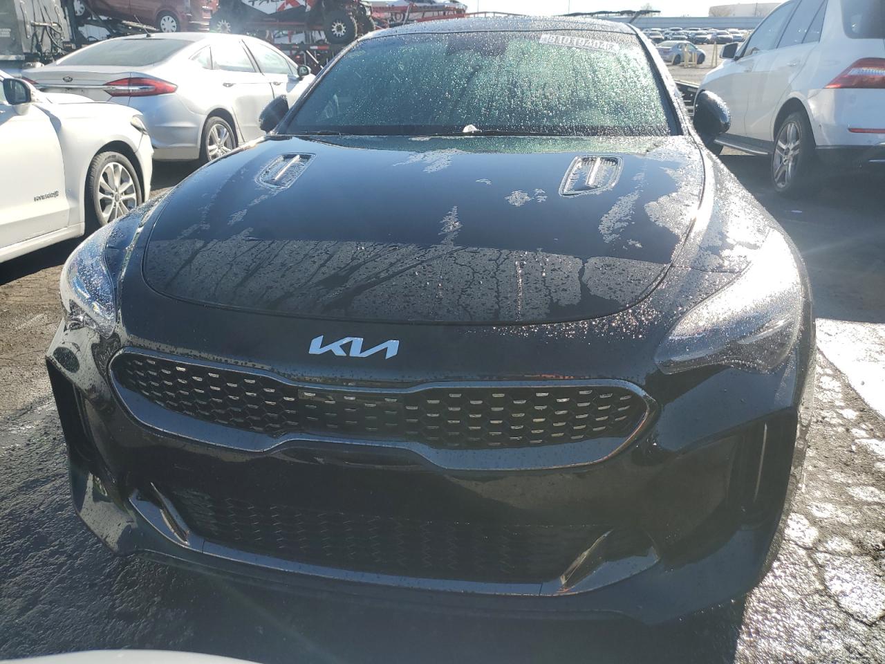 2023 Kia Stinger Gt Line VIN: KNAE35LD7P6137756 Lot: 81019404