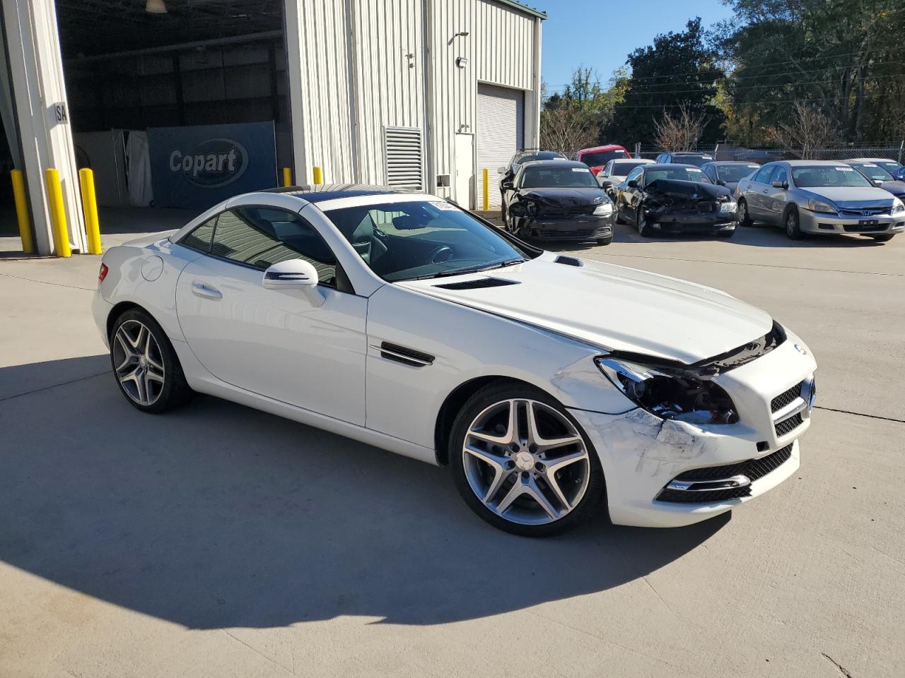 2013 Mercedes-Benz Slk 250 VIN: WDDPK4HA1DF067941 Lot: 81934424