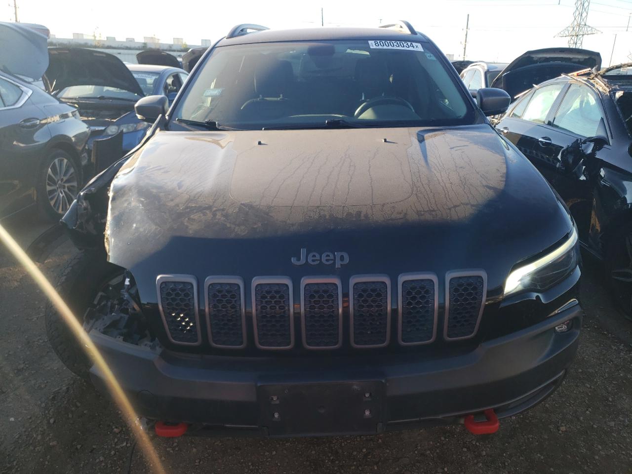 2019 Jeep Cherokee Trailhawk VIN: 1C4PJMBX9KD442347 Lot: 80003034