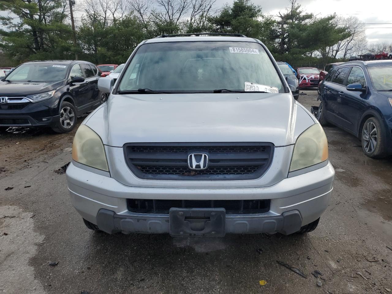 2004 Honda Pilot Exl VIN: 2HKYF18554H501689 Lot: 81585904