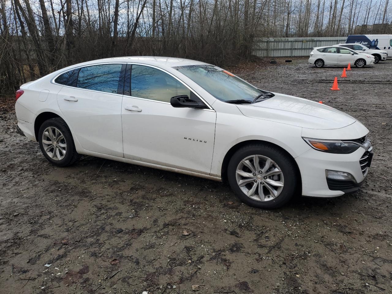 2024 Chevrolet Malibu Lt VIN: 1G1ZD5ST0RF217244 Lot: 81834534