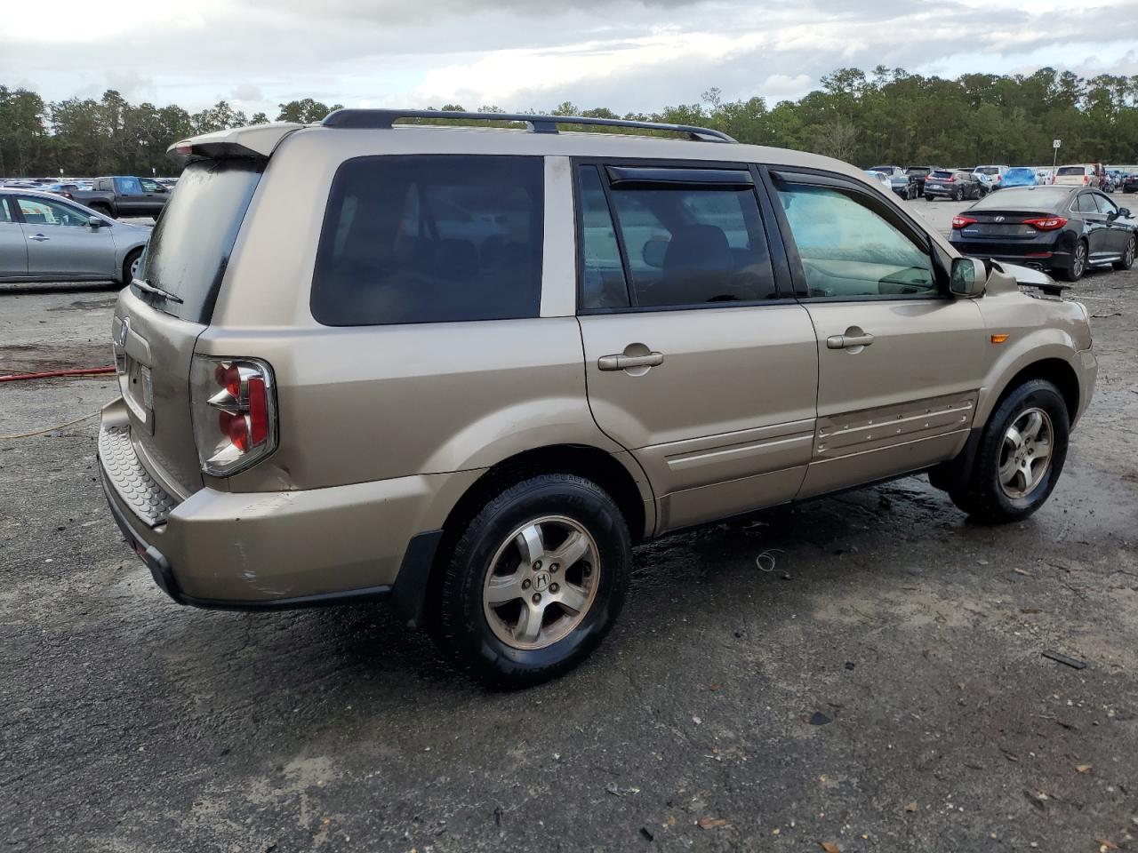 2007 Honda Pilot Exl VIN: 5FNYF28687B029117 Lot: 79802844