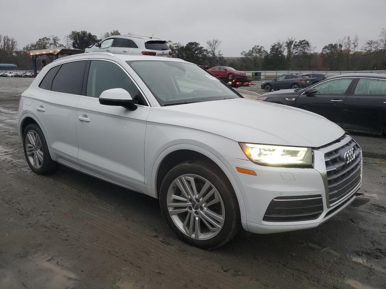 2019 Audi Q5 Premium Plus VIN: WA1BNAFY4K2066260 Lot: 79071544