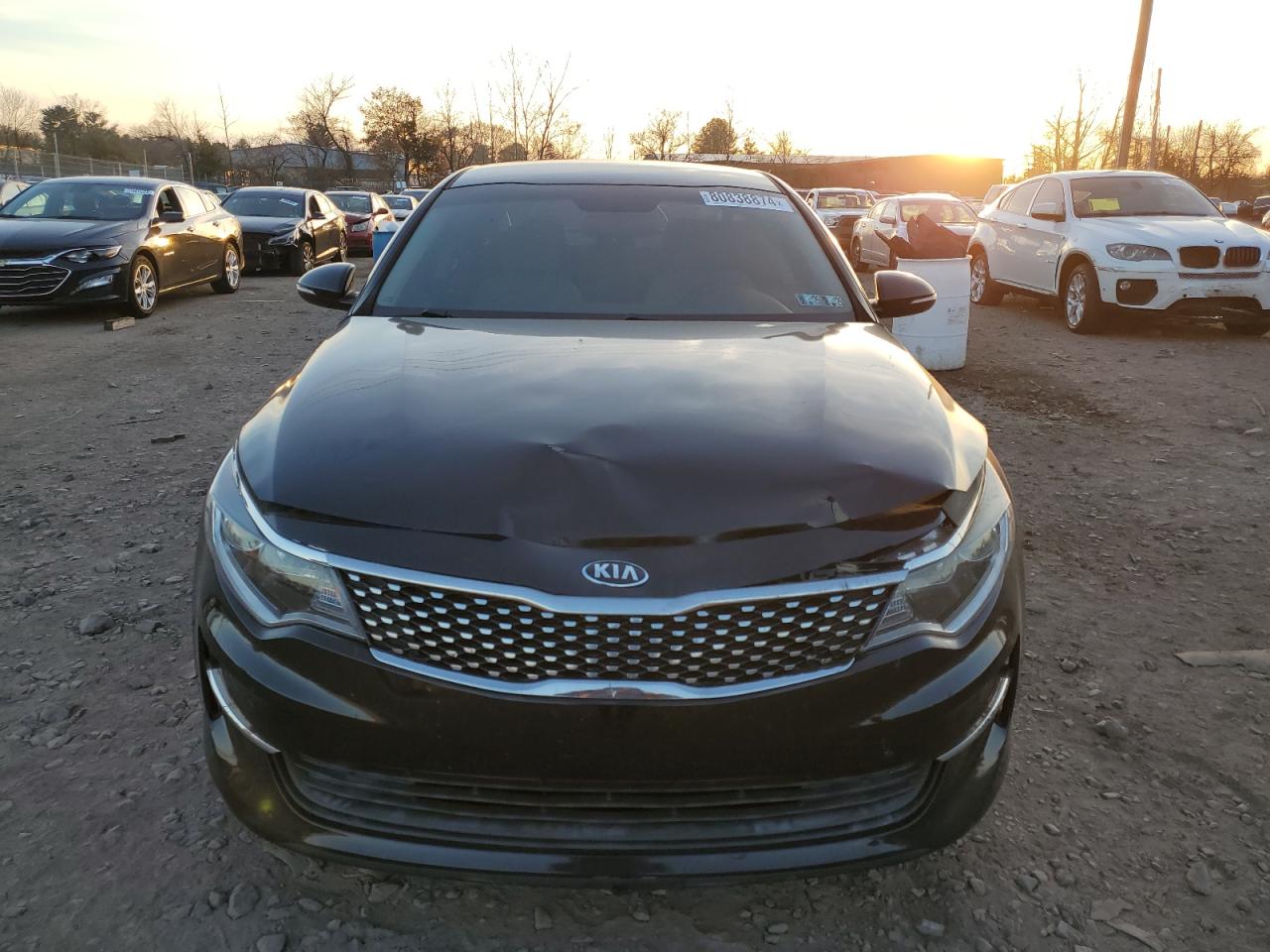 2016 Kia Optima Lx VIN: 5XXGT4L36GG096650 Lot: 80838874