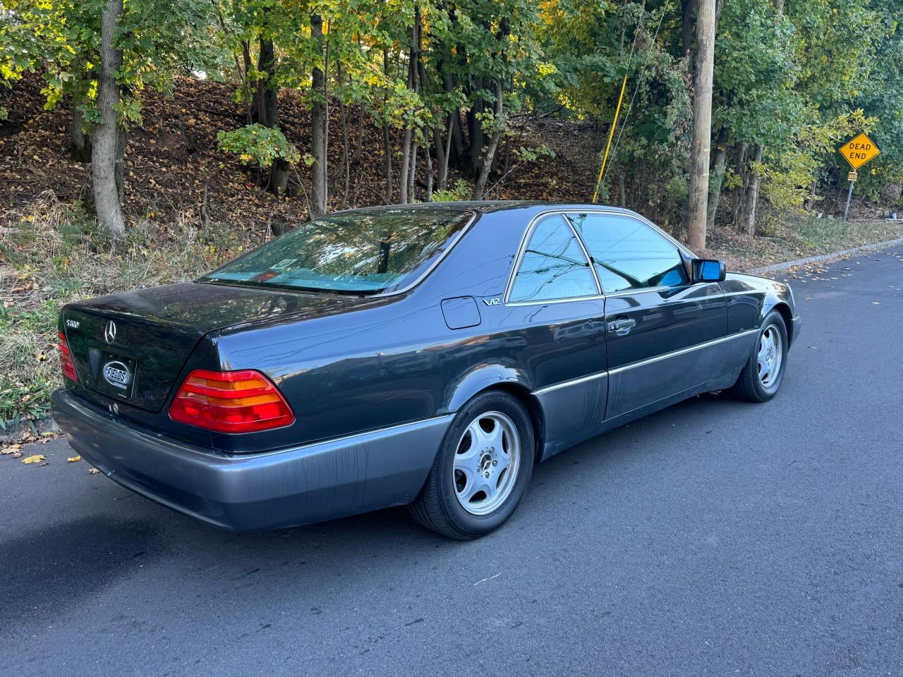 1994 Mercedes-Benz S 600 VIN: WDBGA76E7RA146344 Lot: 81151024