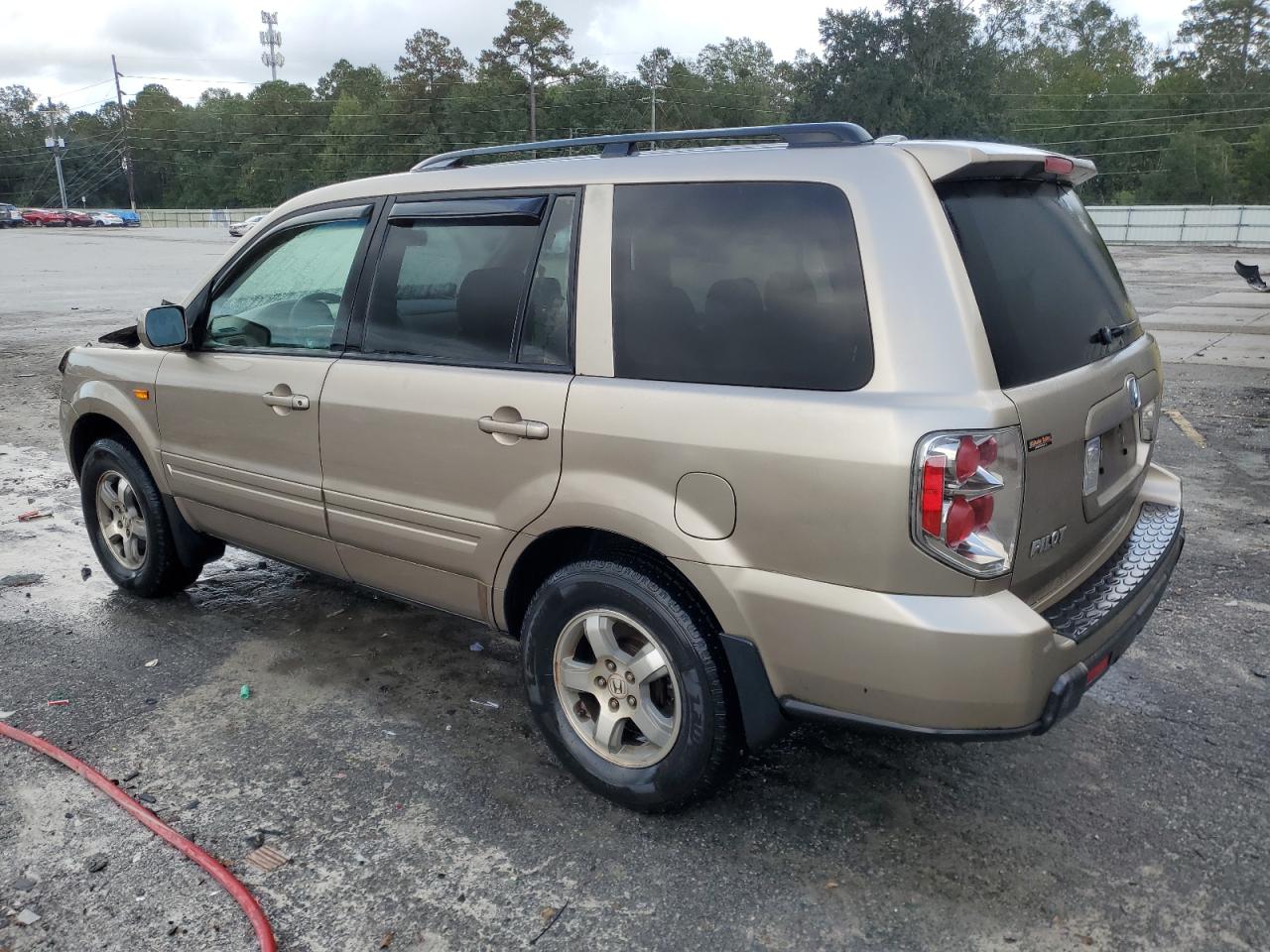 2007 Honda Pilot Exl VIN: 5FNYF28687B029117 Lot: 79802844