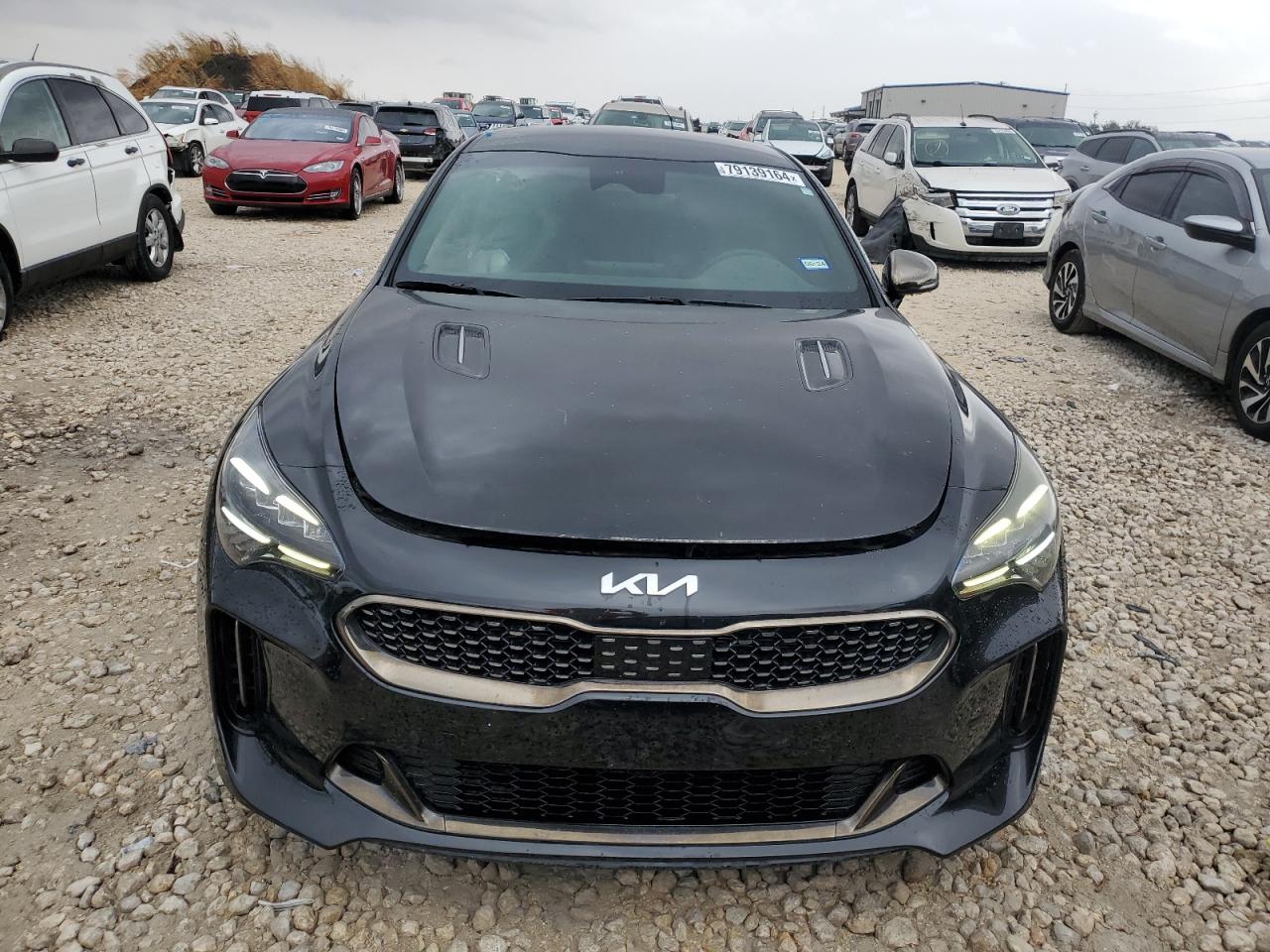 2022 Kia Stinger Gt Line VIN: KNAE35LD4N6106199 Lot: 79139164