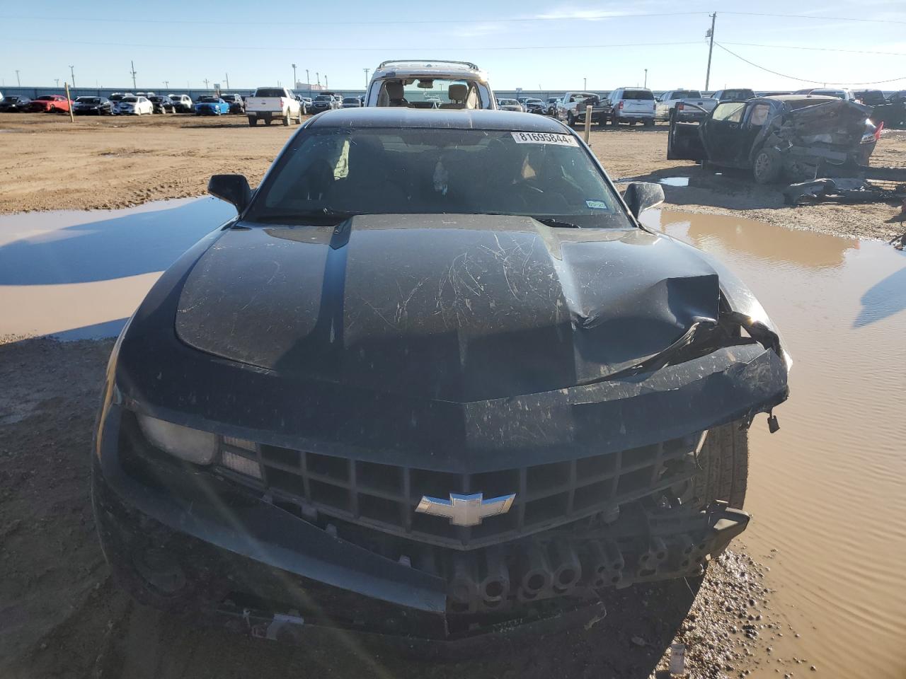 2013 Chevrolet Camaro Ls VIN: 2G1FA1E37D9137876 Lot: 81695844