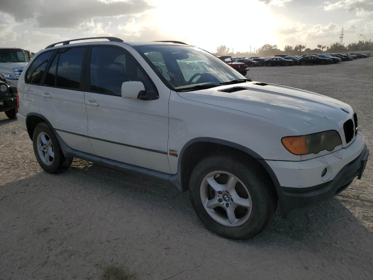 5UXFA53563LV94123 2003 BMW X5 3.0I