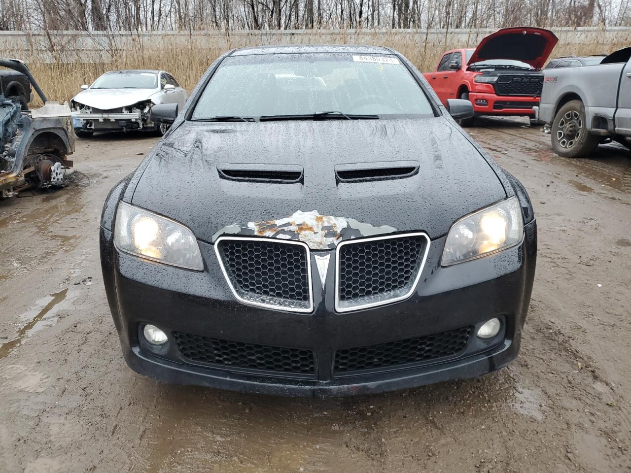 2009 Pontiac G8 VIN: 6G2ER57719L184203 Lot: 84380324