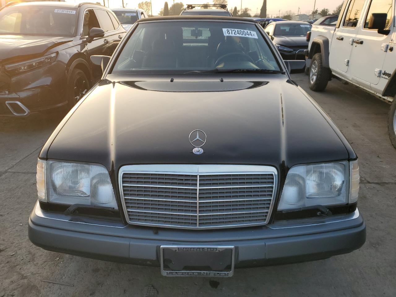 1995 Mercedes-Benz E 320 VIN: WDBEA66E4SC176199 Lot: 87240044