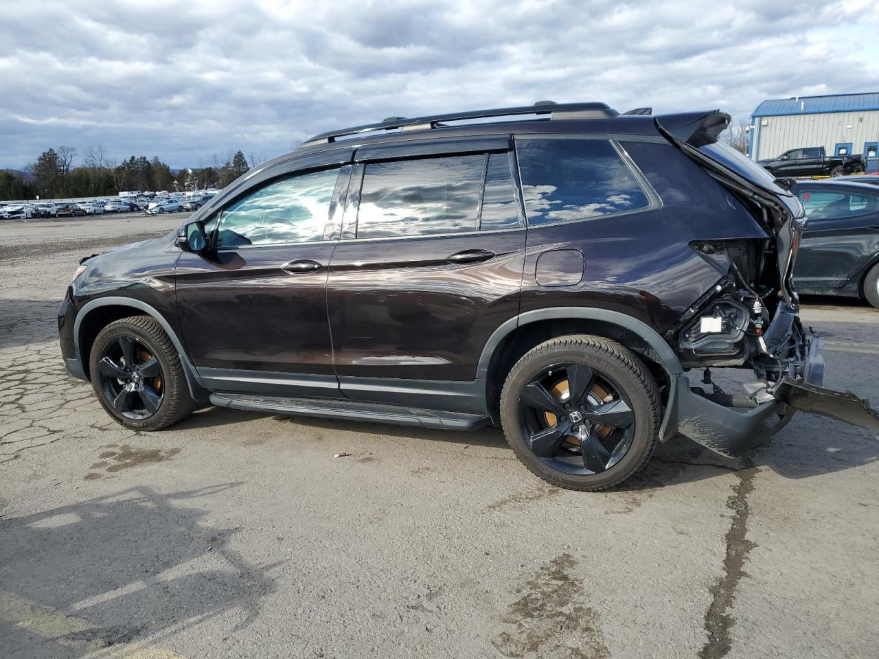 2020 Honda Passport Elite VIN: 5FNYF8H06LB018531 Lot: 86559494