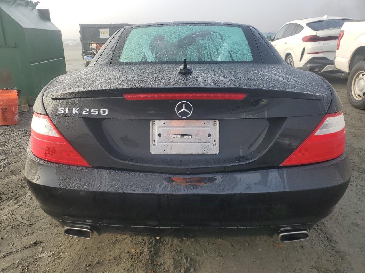 2014 Mercedes-Benz Slk 250 VIN: WDDPK4HA3EF086797 Lot: 85509964