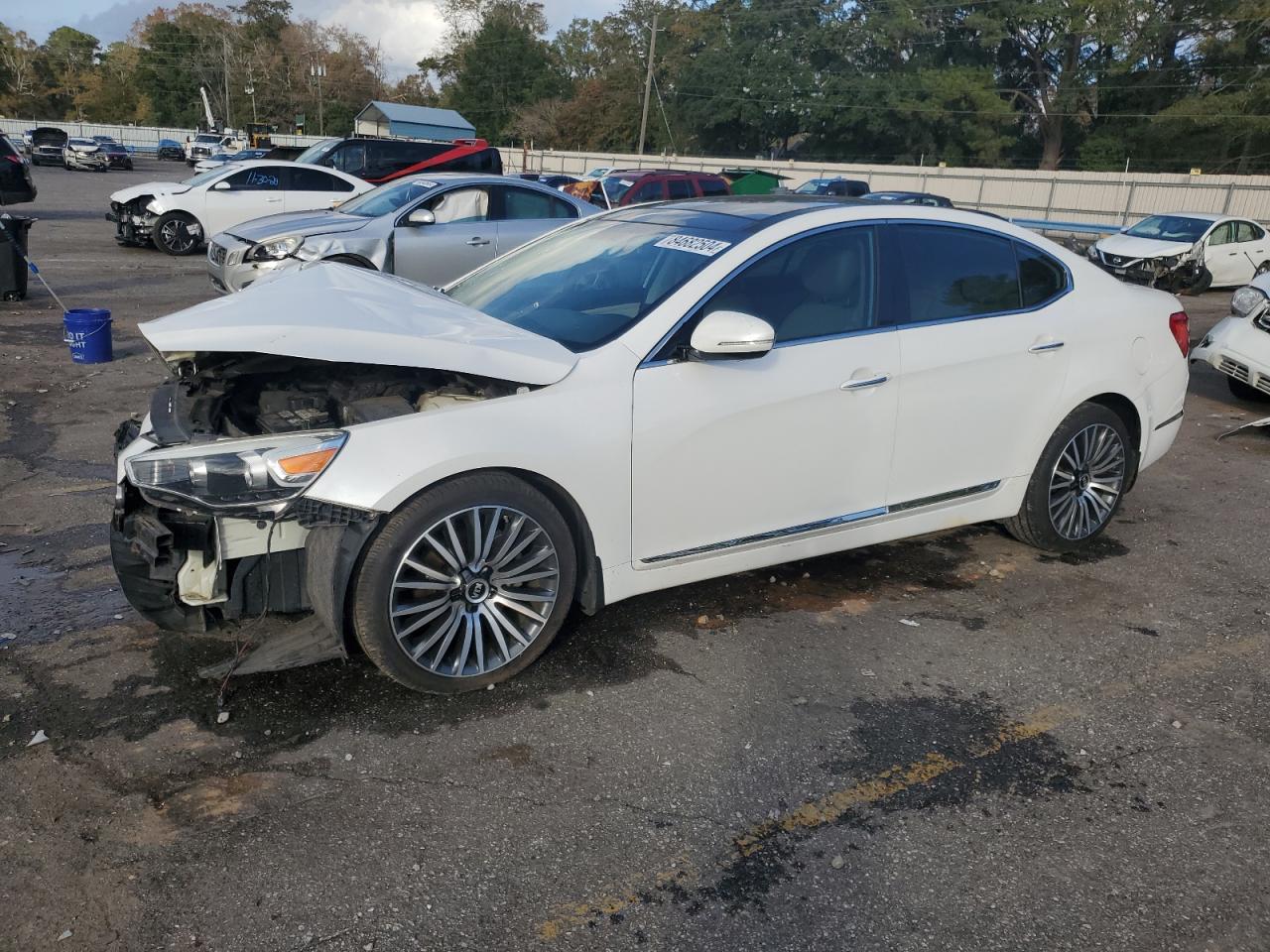 2014 Kia Cadenza Premium VIN: KNALN4D76E5135293 Lot: 84682504