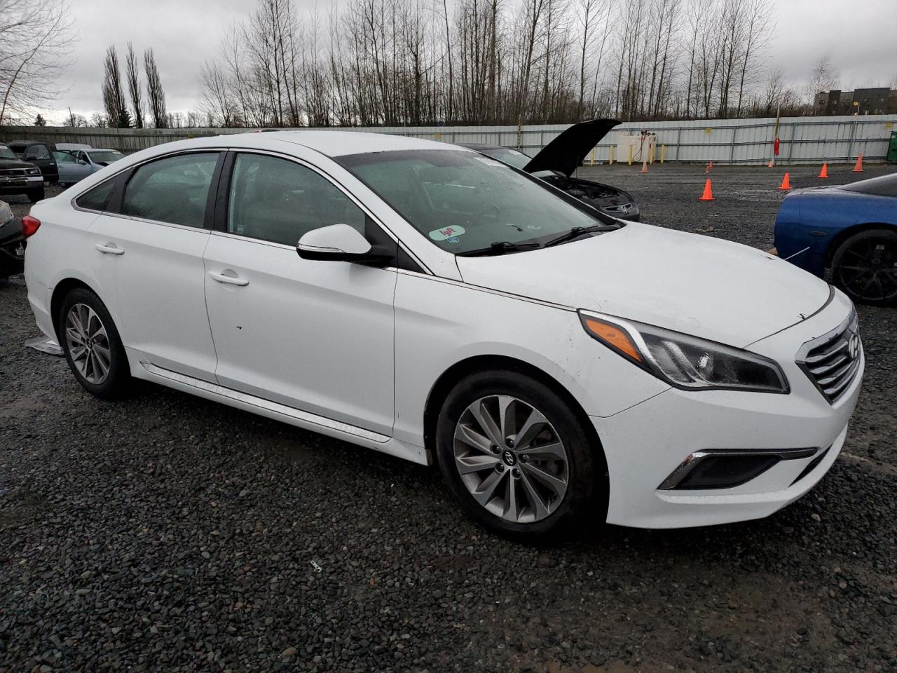 5NPE34AF4GH268229 2016 Hyundai Sonata Sport