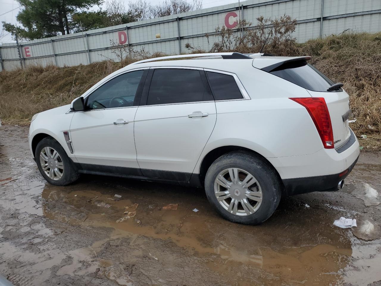 2010 Cadillac Srx Luxury Collection VIN: 3GYFNDEY5AS572980 Lot: 85468724