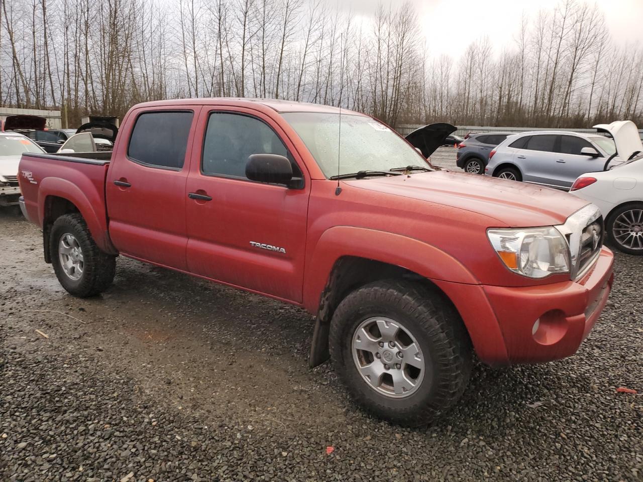 5TELU42N96Z146990 2006 Toyota Tacoma Double Cab