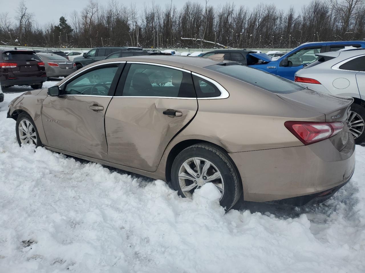 2019 Chevrolet Malibu Lt VIN: 1G1ZD5ST6KF148078 Lot: 81771604